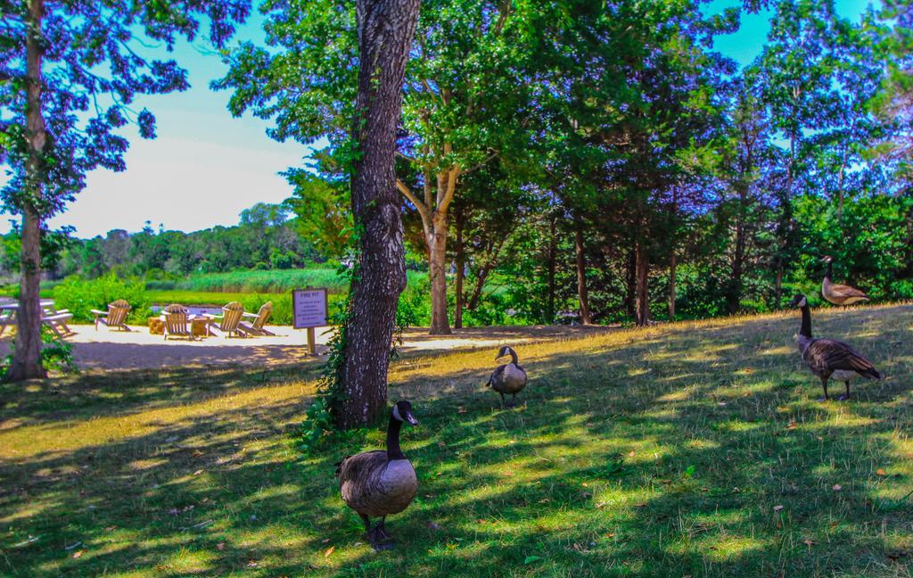 The Cove At Yarmouth Hotel West Yarmouth Kültér fotó